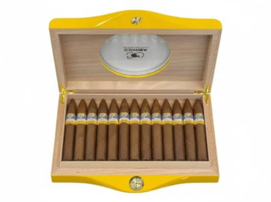 Cohiba Fat Maduro Customized Humidor